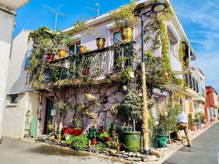 "Le Jardin" Superbe T2 Parking, Clim & Terrasse ! Lejlighed Sète Eksteriør billede